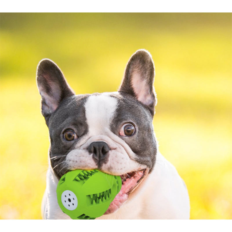 Pet Teeth Brushing Chewing Toy with food and sound Function