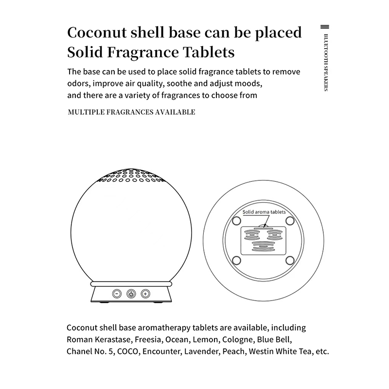 Coconut Shell Speaker